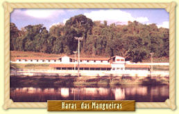 Haras das Mangueiras